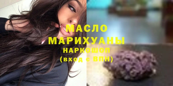 индика Новозыбков