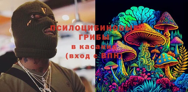 меф Новодвинск