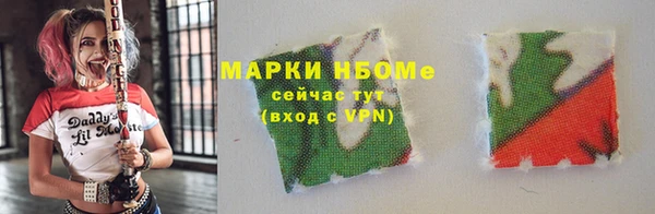 индика Новозыбков