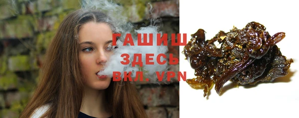 индика Новозыбков