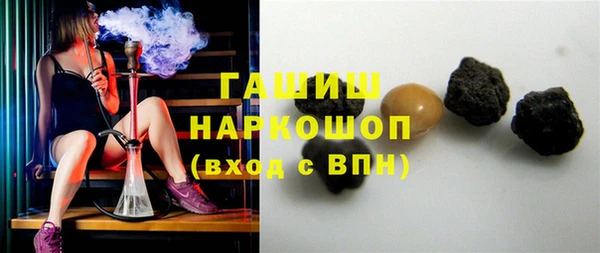 индика Новозыбков
