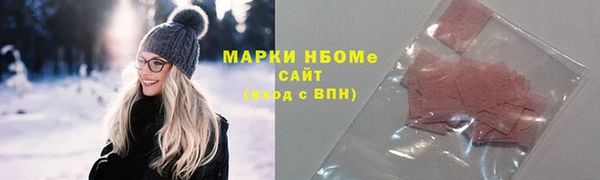 индика Новозыбков