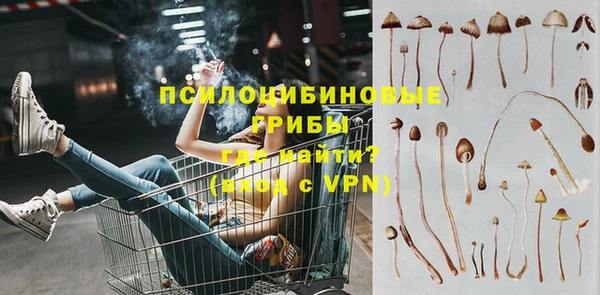гидра Нефтегорск