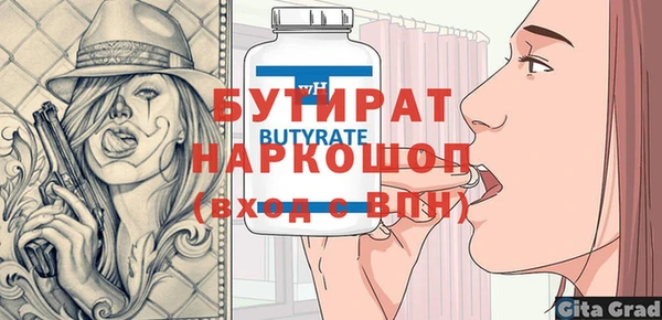 индика Новозыбков