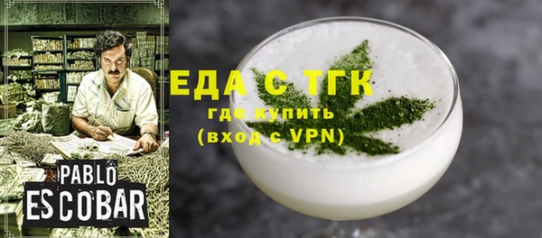 индика Новозыбков