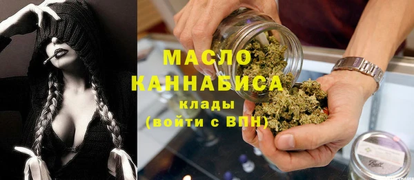 индика Новозыбков
