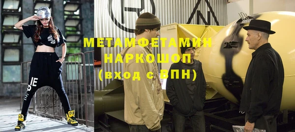 индика Новозыбков