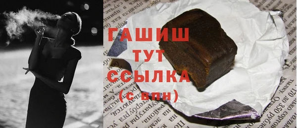 индика Новозыбков